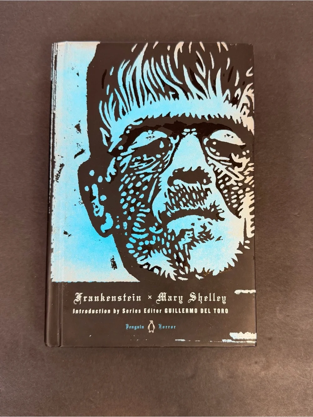 Frankenstein by Mary Shelley, 2013 Hardcover (Penguin Horror)